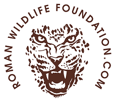 Universitas Foundation