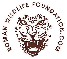 Roman Wildlife Foundation